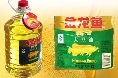 金龍魚用什么背景和底色，金龍魚背景和底色選擇指南