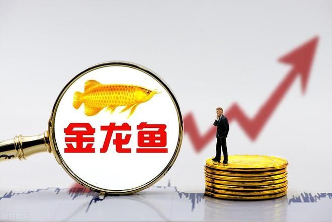 金龍魚業績持續下滑,金龍魚業績持續下滑怎么辦? 龍魚百科 第4張 金龍魚業績持續下滑,金龍魚業績持續下滑怎么辦? 金龍魚業績持續下滑,金龍魚業績持續下滑怎么辦? 龍魚百科 第4張