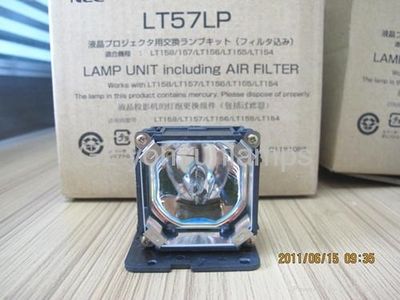 龍魚尾上長的痘痘是什么：龍魚尾部長痘痘如何處理