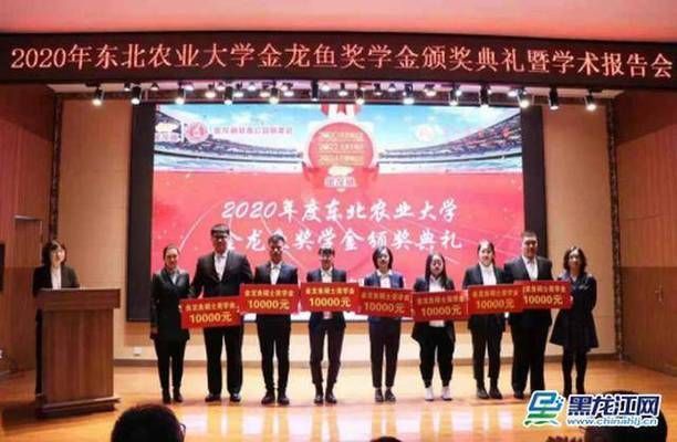 金龍魚獎學金是什么級別，金龍魚獎學金 金龍魚獎學金是什么級別，金龍魚獎學金 龍魚百科 第6張
