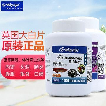 金龍魚身上長寄生蟲用什么藥：金龍魚身上長寄生蟲怎么辦 金龍魚身上長寄生蟲用什么藥：金龍魚身上長寄生蟲怎么辦 龍魚百科 第1張