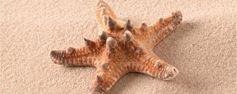 龍魚(yú)溫度多少度合適冬眠呢，關(guān)于龍魚(yú)冬眠時(shí)適宜水溫的詳細(xì)信息