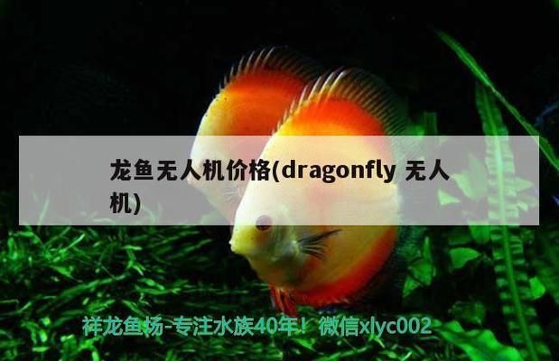 龍魚無人機售價多少（道通智能龍魚無人機售價如何）