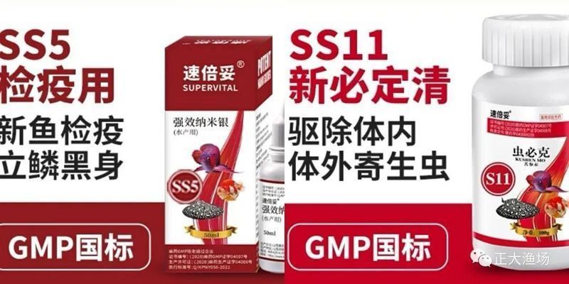 寬身龍魚和窄身龍魚的區別，寬身龍魚與窄身龍魚的區別