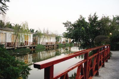金龍魚(yú)膠泡發(fā)后粘粘的是什么，金龍魚(yú)膠泡發(fā)后為什么會(huì)出現(xiàn)粘粘的現(xiàn)象 金龍魚(yú)膠泡發(fā)后粘粘的是什么，金龍魚(yú)膠泡發(fā)后為什么會(huì)出現(xiàn)粘粘的現(xiàn)象 龍魚(yú)百科 第3張