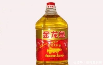 金龍魚最貴多少錢一條？（最貴的金龍魚價格可達580萬元人民幣可達到5000元人民幣）