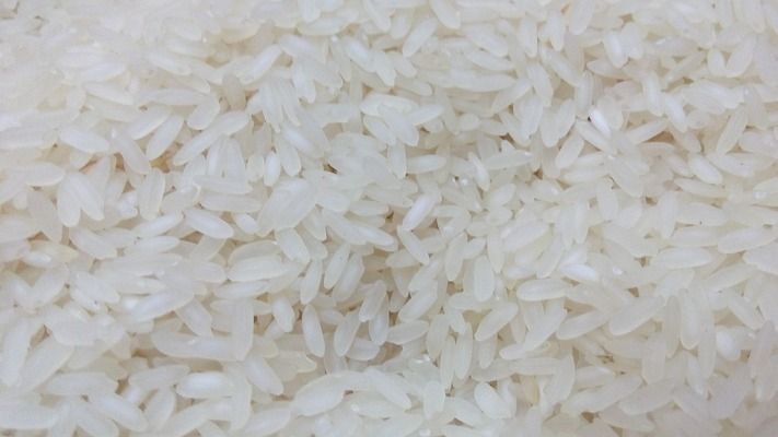 什么龍魚好養活（初學者選擇哪種龍魚容易養活，星點龍魚的選購技巧指南）