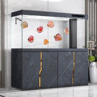 龍魚專用缸排名，2024年龍魚專用缸排名