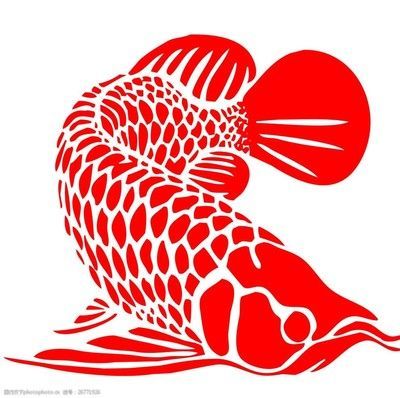如何看龍魚的狀態是否正常，如何判斷龍魚的健康狀況 如何看龍魚的狀態是否正常，如何判斷龍魚的健康狀況 龍魚百科 第3張