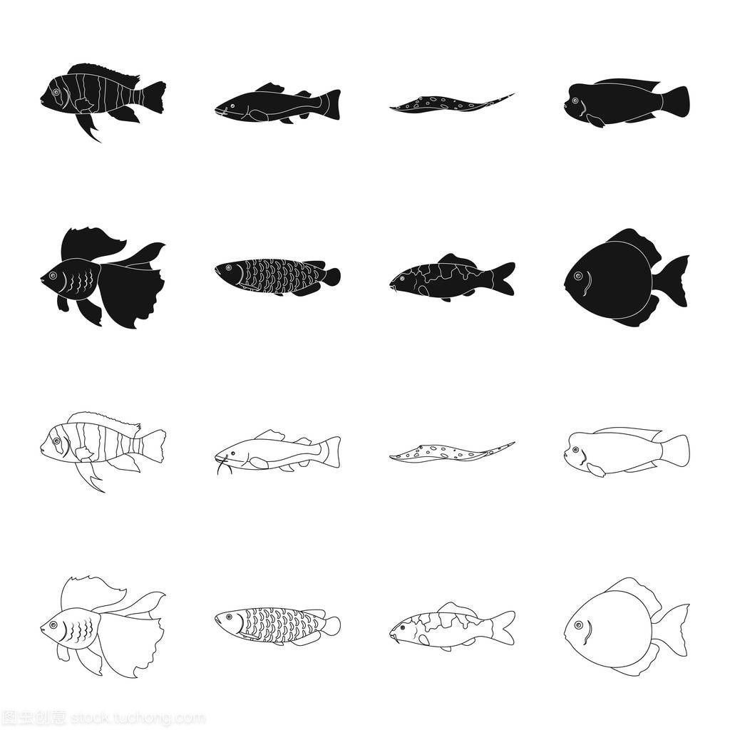 如何看龍魚的狀態是否正常，如何判斷龍魚的健康狀況 如何看龍魚的狀態是否正常，如何判斷龍魚的健康狀況 龍魚百科 第6張