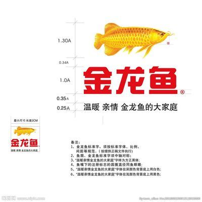 金龍魚一般長多長，金龍魚一般體長多大？