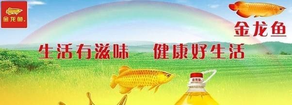金龍魚有中國控股嗎，金龍魚是否有中國控股的問題，豐益國際對中國市場影響 金龍魚有中國控股嗎，金龍魚是否有中國控股的問題，豐益國際對中國市場影響 龍魚百科 第4張