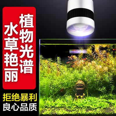 天津天王魚缸維修電話多少錢(天津天王魚缸維修電話多少錢啊)