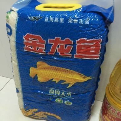 金龍魚老沉缸底什么原因，金龍魚老是沉在缸底可能由多種原因引起金龍魚沉底現象