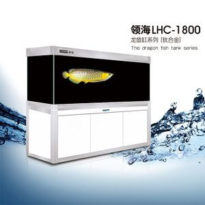 龍魚一手貨源，如何獲取龍魚一手貨源