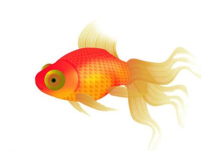 描寫金龍魚的優美句子（描寫金龍魚的優美句子：眼睛鰭,尾巴,金龍魚） 描寫金龍魚的優美句子（描寫金龍魚的優美句子：眼睛鰭,尾巴,金龍魚） 龍魚百科 第4張