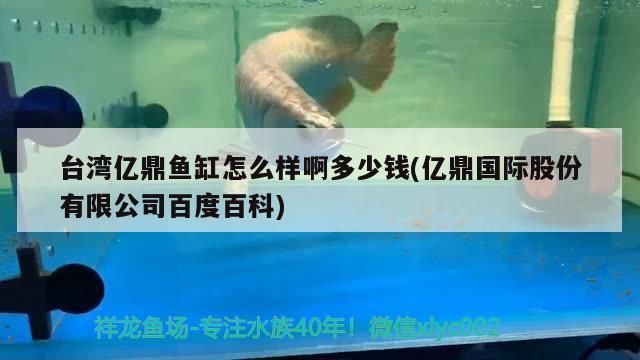 紅龍魚掛畫有什么講究：紅龍魚掛畫在風水學中有什么講究和寓意？ 紅龍魚掛畫有什么講究：紅龍魚掛畫在風水學中有什么講究和寓意？ 龍魚百科 第3張