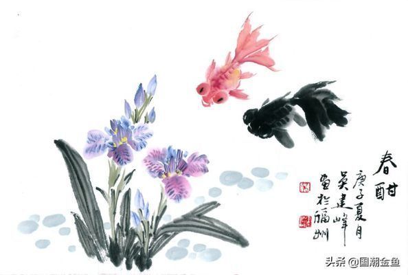 金龍魚有什么品種的，金龍魚品種價格對比，金龍魚品種的選購指南, 金龍魚有什么品種的，金龍魚品種價格對比，金龍魚品種的選購指南, 龍魚百科 第4張