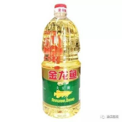 金龍魚 重慶：關于金龍魚在重慶的相關信息