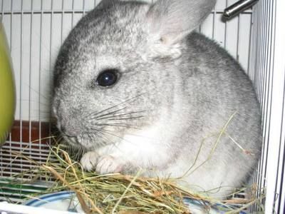 松原哪里賣魚缸的地方多一點（松原哪里賣魚缸的地方多一點啊）