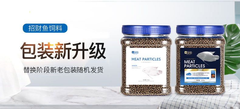龍魚長啥樣（ 龍魚長什么樣子啊?）
