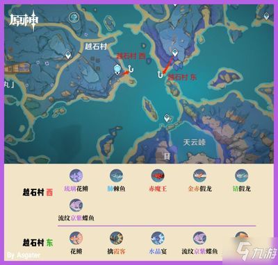 龍魚(yú)級(jí)別分布圖高清大圖，如何獲取高清的龍魚(yú)級(jí)別分布圖