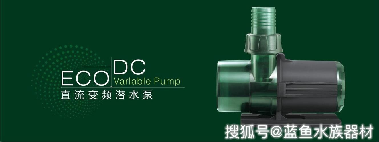 龍魚改口技巧，龍魚改口失敗原因分析,