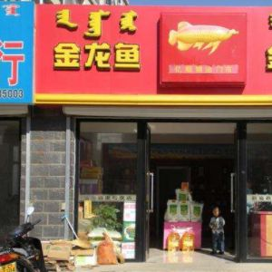 金龍魚招商加盟條件（金龍魚加盟店選址技巧）