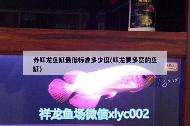 養(yǎng)紅龍魚缸最低標(biāo)準(zhǔn)多少度(紅龍要多寬的魚缸)