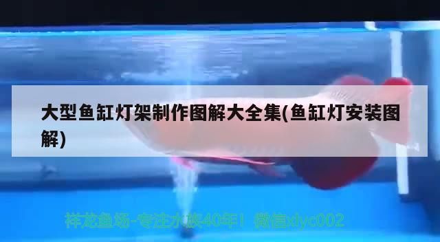 鄂州魚缸發動機哪里買得到的啊多少錢（鄂州魚缸發動機哪里買得到的啊多少錢一臺）