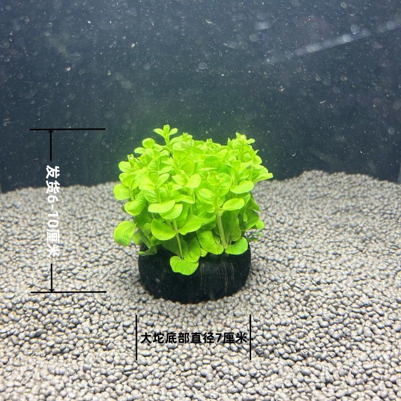 哪里買魚缸便宜實(shí)惠好用的 哪里買魚缸便宜實(shí)惠好用的水泵