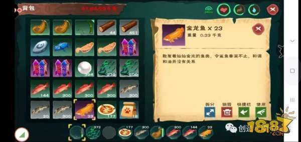 金龍魚(yú)用什么釣在哪里釣的，游戲金龍魚(yú)刷新時(shí)間，金龍魚(yú)釣點(diǎn)分布圖
