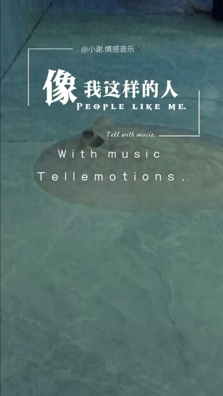 葫蘆島魚缸定做哪家好啊價格表（葫蘆島漁具批發市場）
