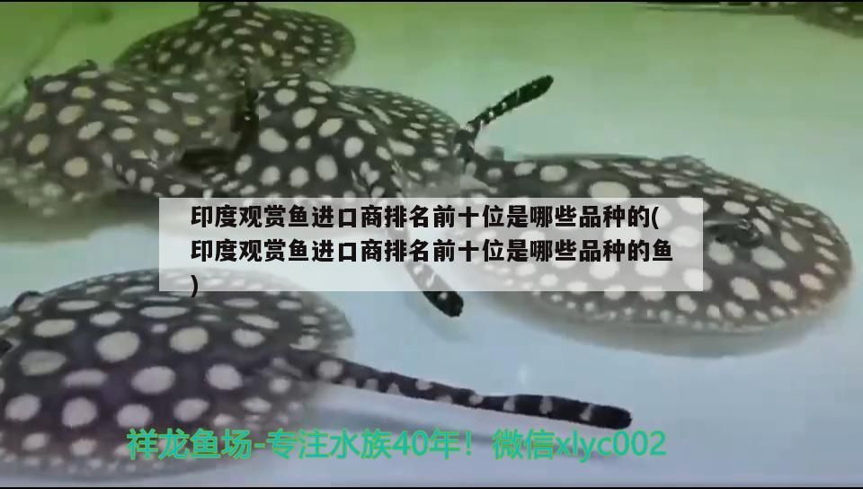 廣州魚缸廠家地址電話查詢（廣州魚缸市場在哪里）