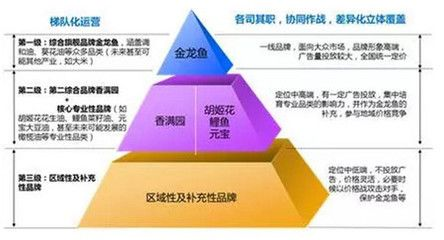 金龍魚現狀及發展前景分析，金龍魚如何應對原材料價格波動