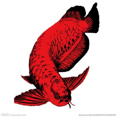 龍魚設(shè)計(jì)，龍魚設(shè)計(jì)在文化中的應(yīng)用