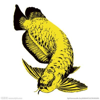 龍魚設(shè)計(jì)，龍魚設(shè)計(jì)在文化中的應(yīng)用