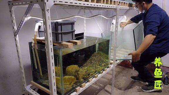 龍魚過濾材料怎么搭配（龍魚過濾材料搭配建議） 龍魚過濾材料怎么搭配（龍魚過濾材料搭配建議） 龍魚百科 第5張