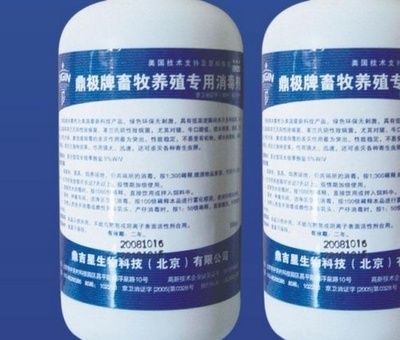 龍魚吃什么胖的快一點(diǎn)：如何讓龍魚快速增肥