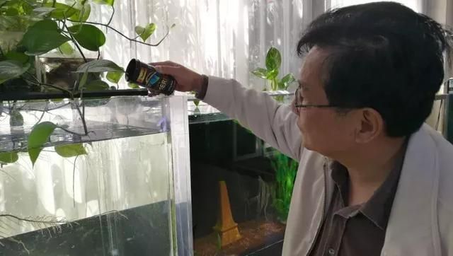 龍魚水質(zhì)要求高嗎? 龍魚水質(zhì)要求ph是多少