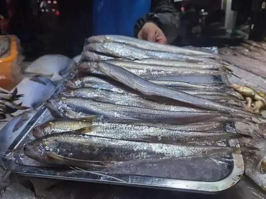 附近修魚缸電話地址在哪里（附近修魚缸電話地址在哪里查）