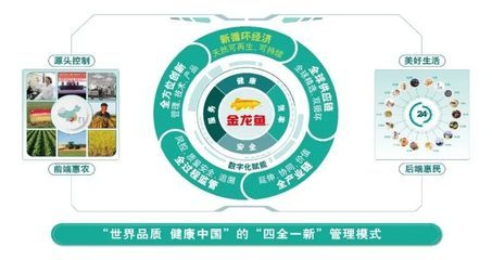 金龍魚最大能長多重，關于金龍魚的最大體重的一些詳細信息 金龍魚最大能長多重，關于金龍魚的最大體重的一些詳細信息 龍魚百科 第5張