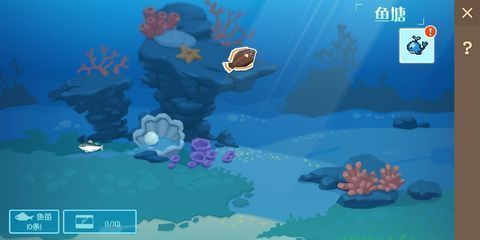 什么龍魚長得最小又好養活，澳洲星點龍、銀龍魚、七彩雷龍和七彩雷龍的日常護理要點