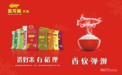 金龍魚加盟代理，金龍魚為加盟商提供了全面而具體的信息支持，加盟條件相對明確