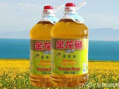 金龍魚加盟代理,金龍魚為加盟商提供了全面而具體的信息支持,加盟條件相對明確 龍魚百科 第5張 金龍魚加盟代理,金龍魚為加盟商提供了全面而具體的信息支持,加盟條件相對明確 金龍魚加盟代理,金龍魚為加盟商提供了全面而具體的信息支持,加盟條件相對明確 龍魚百科 第5張