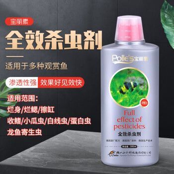 龍魚殺蟲殺菌，如何有效地為龍魚殺蟲殺菌