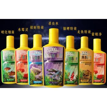 龍魚殺蟲殺菌，如何有效地為龍魚殺蟲殺菌