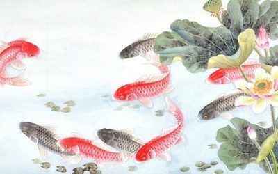 龍魚批發(fā)祥龍魚場（祥龍魚場龍魚價(jià)格及種類）