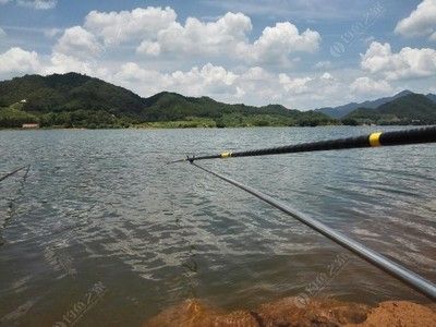 龍魚哪里有釣魚的地方啊：龍魚釣魚地點推薦：龍魚釣魚技巧分享龍魚釣魚技巧分享