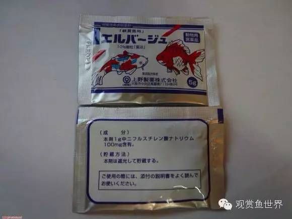 巨暴魚苗疾病早期癥狀（巨暴魚苗在養殖過程中可能會遇到多種疾病的早期癥狀）
